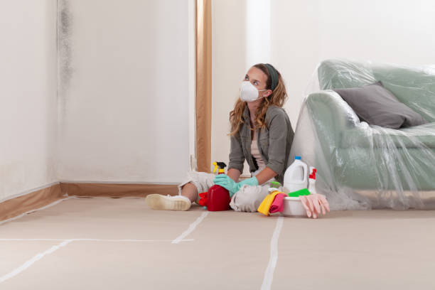Reliable Black Mold Removal contractor in Redmond, OR by WQB Mold Removal
