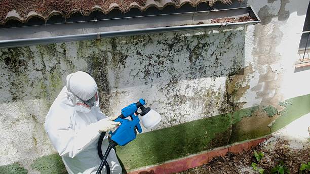 Top rated local Black Mold Removal specialists in Redmond, OR